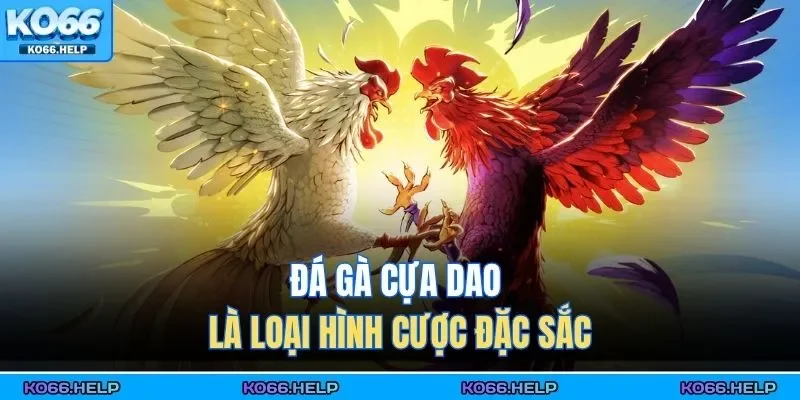 Đá Gà Cựa Dao | Xem Trực Tiếp, Cá Cược Uy Tín Số 1 Châu Á 1 Đá gà cựa dao là loại hình cược đặc sắc