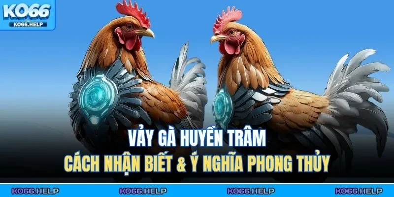 Vảy gà huyền trâm mang đến không chỉ sức mạnh