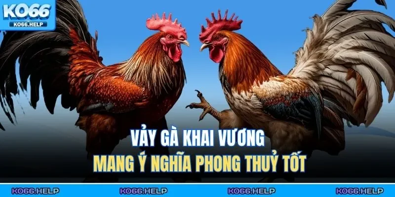Vảy Gà Khai Vương | Bí Mật Nhận Diện Chiến Kê Quý Hiếm 1 Vảy gà khai vương mang ý nghĩa phong thuỷ tốt