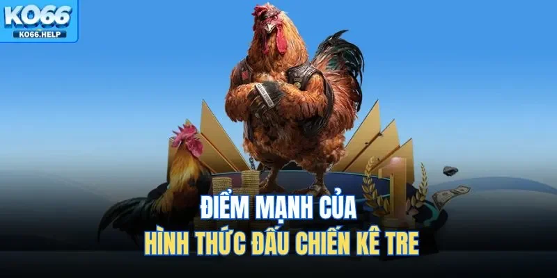 Đá Gà Tre Tại Ko66 - Sự Kịch Tính Trong Từng Pha Ra Đòn 2 Điểm mạnh của hình thức đấu chiến kê tre
