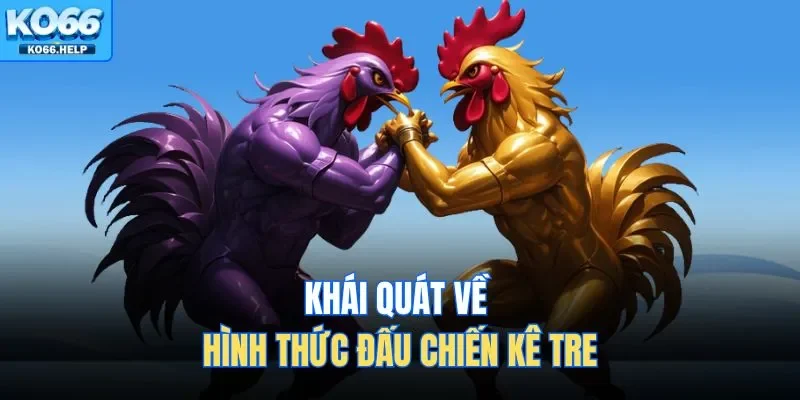 Đá Gà Tre Tại Ko66 - Sự Kịch Tính Trong Từng Pha Ra Đòn 1 Khái quát về hình thức đấu chiến kê tre